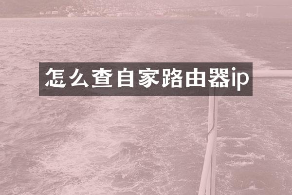 怎么查自家路由器ip