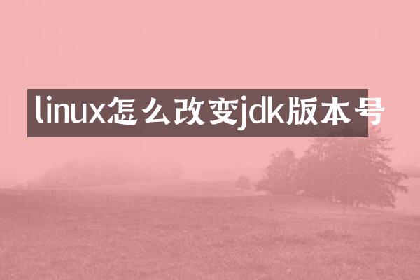 linux怎么改变jdk版本号