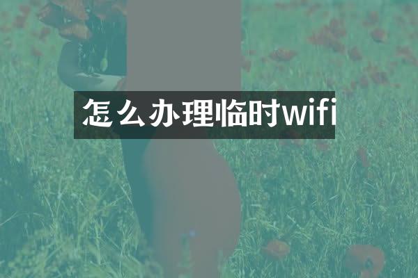 怎么办理临时wifi