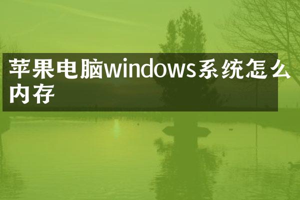 苹果电脑windows系统怎么清内存