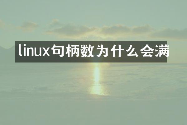 linux句柄数为什么会满