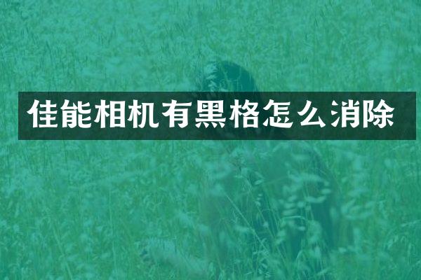 佳能相机有黑格怎么消除