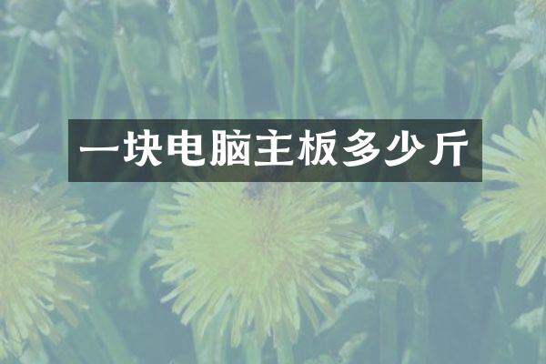 一块电脑主板多少斤
