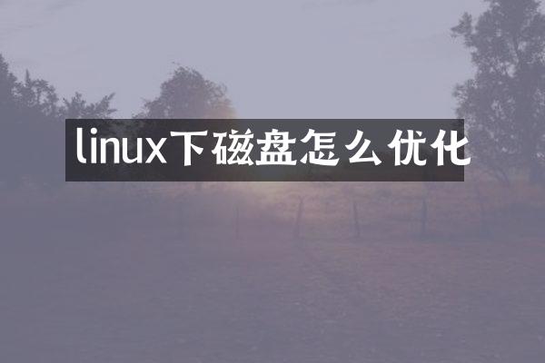 linux下磁盘怎么优化
