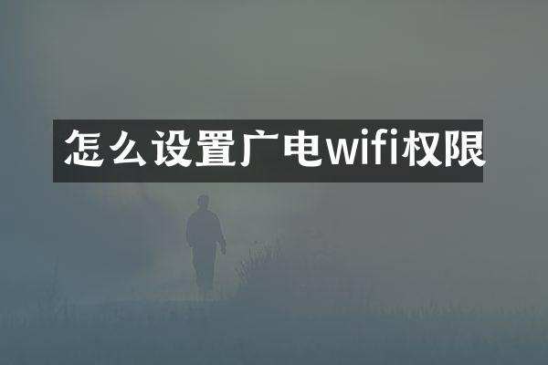怎么设置广电wifi权限