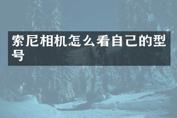 相机怎么看自己的型号