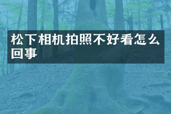 相机拍照不好看怎么回事