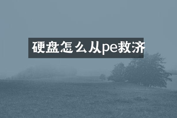硬盘怎么从pe救济