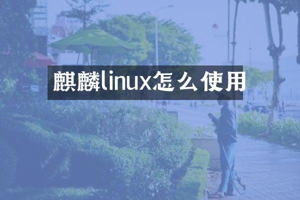 麒麟linux怎么使用