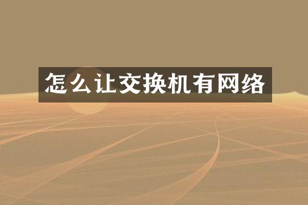 怎么让交换机有网络