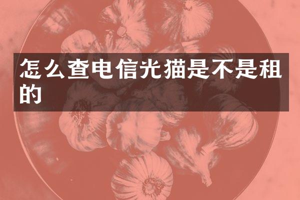 怎么查电信光猫是不是租的