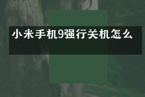 小米手机9强行关机怎么办