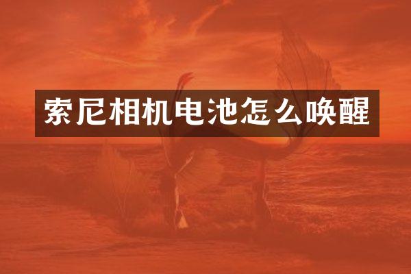 相机电池怎么唤醒