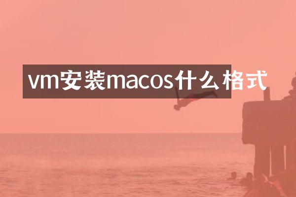 vm安装macos什么格式