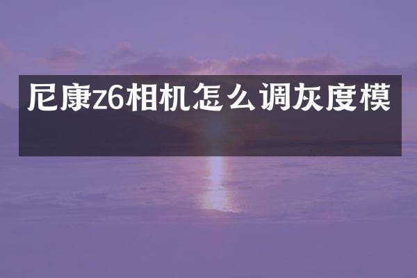 尼康z6相机怎么调灰度模式