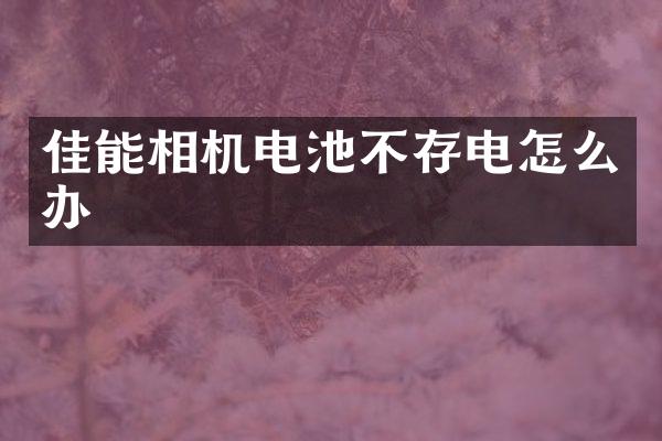 佳能相机电池不存电怎么办