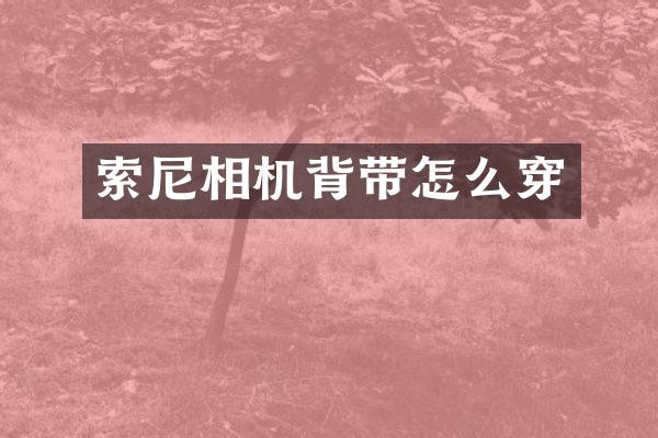 相机背带怎么穿