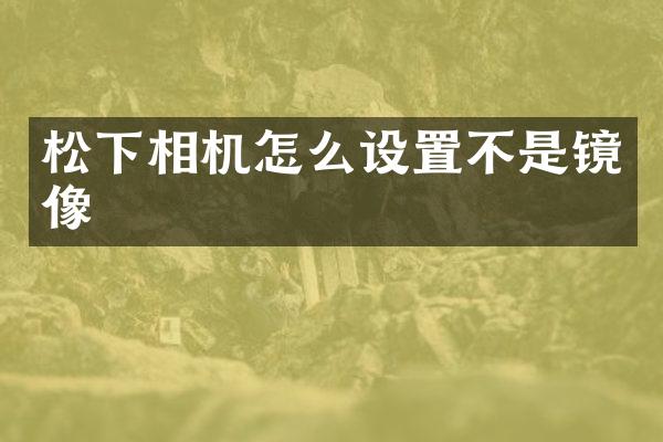 相机怎么设置不是镜像
