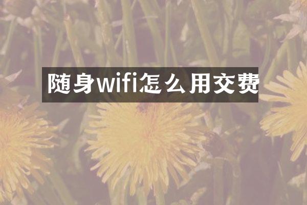 随身wifi怎么用交费