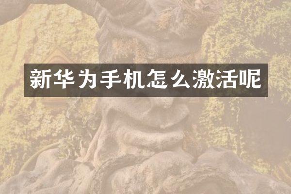 新华为手机怎么激活呢