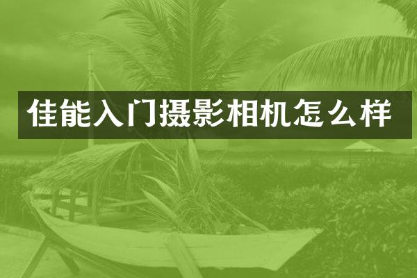 佳能入门摄影相机怎么样