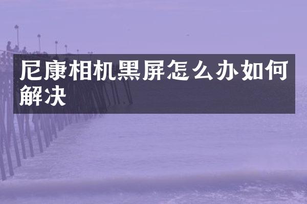 尼康相机黑屏怎么办如何解决