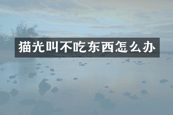 猫光叫不吃东西怎么办