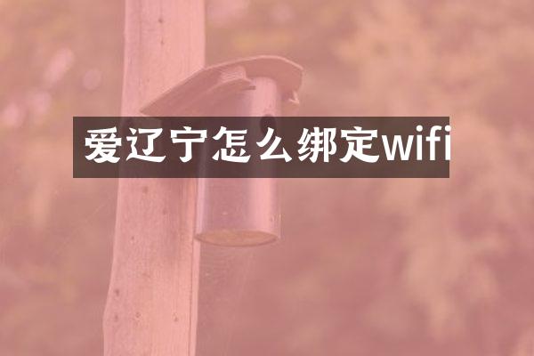 爱辽宁怎么绑定wifi