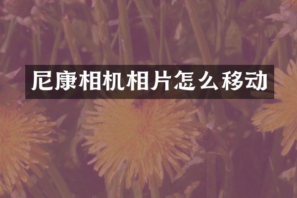 尼康相机相片怎么移动