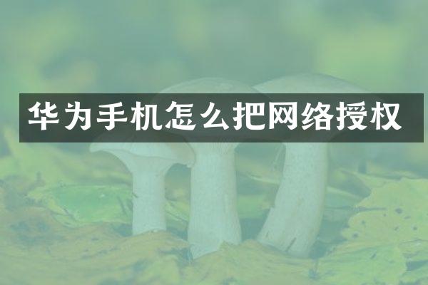 华为手机怎么把网络授权