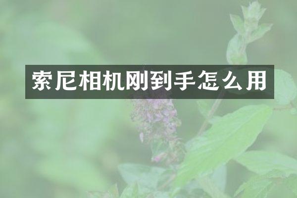 相机刚到手怎么用