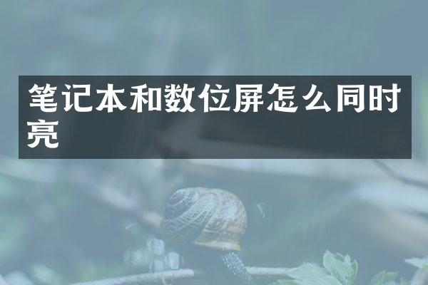 笔记本和数位屏怎么同时亮