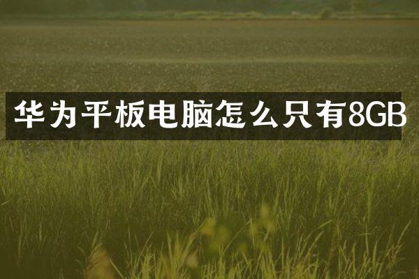 华为平板电脑怎么只有8GB