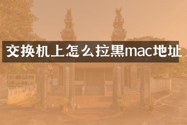 交换机上怎么拉黑mac地址