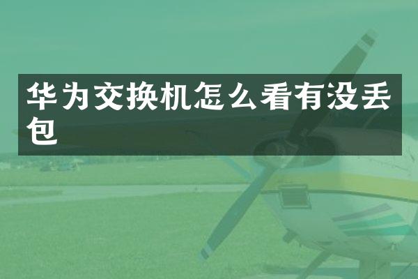 华为交换机怎么看有没丢包