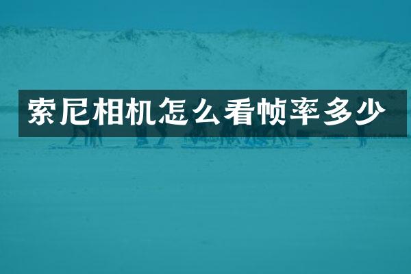 相机怎么看帧率多少