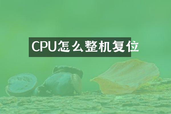CPU怎么整机复位