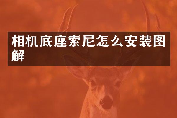 相机底座怎么安装图解