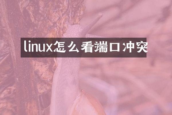 linux怎么看端口冲突
