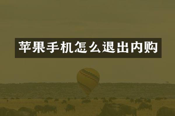 苹果手机怎么退出内购