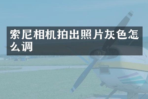 相机拍出照片灰色怎么调