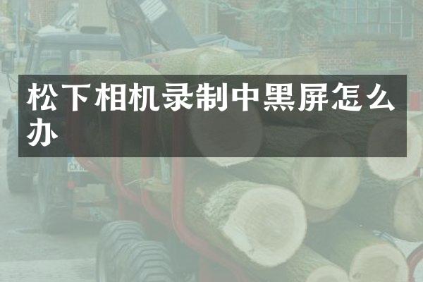相机录制中黑屏怎么办