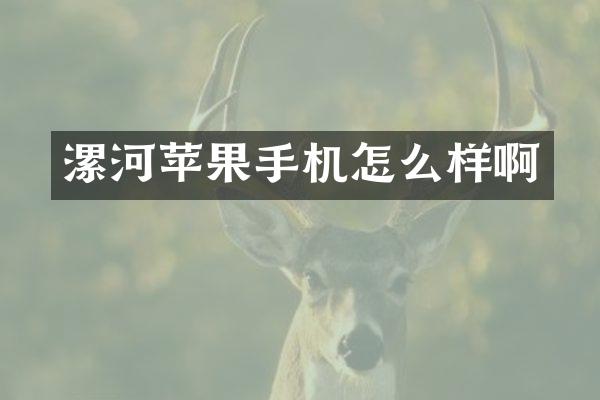 漯河苹果手机怎么样啊