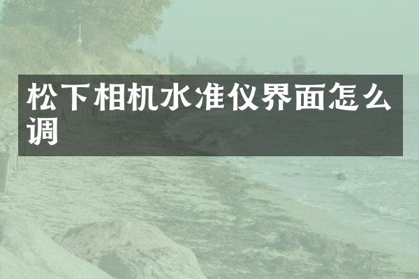 相机水准仪界面怎么调