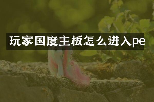 玩家国度主板怎么进入pe