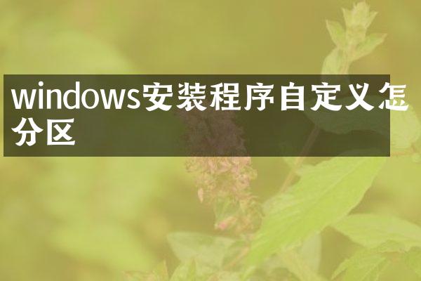 windows安装程序自定义怎么分区