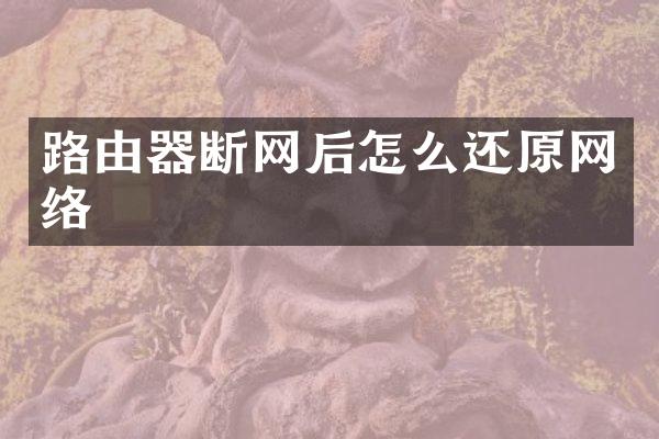 路由器断网后怎么还原网络