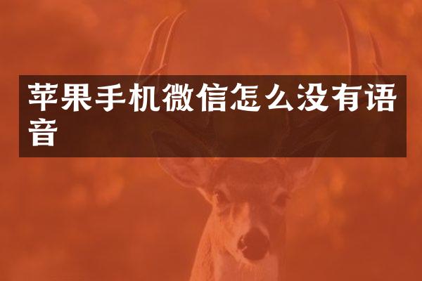 苹果手机微信怎么没有语音