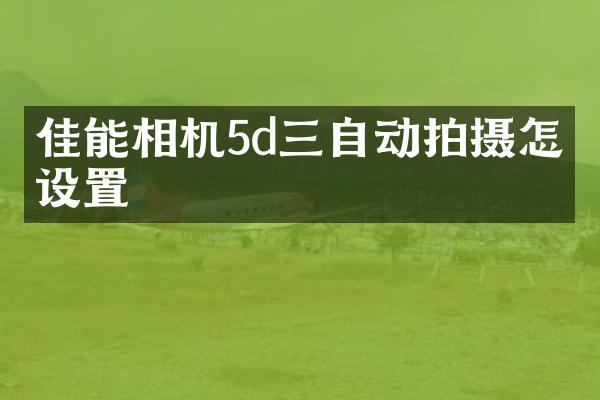 佳能相机5d三自动拍摄怎么设置
