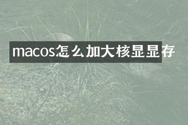 macos怎么加大核显显存